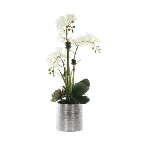 White Pink Orchid Flower Arrangement in Silver Ceramic Pot#F-172
