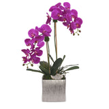 Real Touch Purple Orchids & Geodes Arrangement in Silver Ceramic Pot#F-174