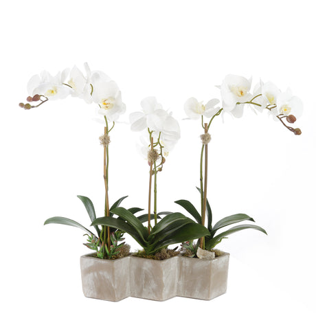 Three Sisters Real Touch White Orchid Arrangement in Stone Wash Triple Pot F-176
