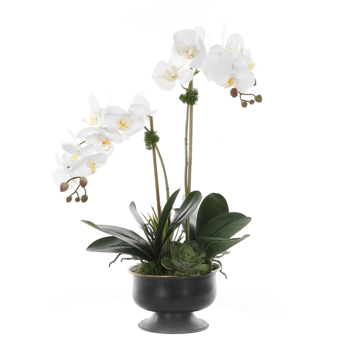 Real Touch White Orchid & Succulent in Black Pot Arrangement #F-177