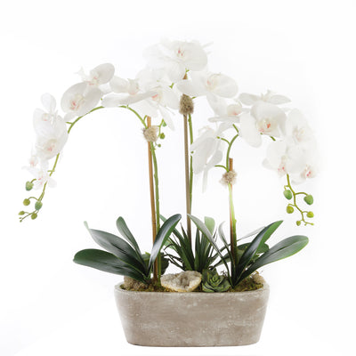 Artificial Flower, Succulent Arrangements & Plants at Jenny Silks