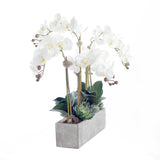Modern Real Touch White Orchids, Geodes & Succulents Flower Arrangement in White Wash Rectangle Stone Pot#F-179