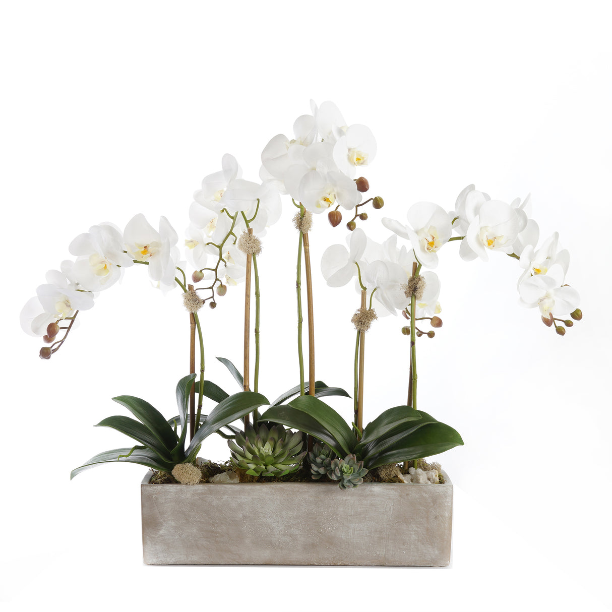 Modern Real Touch White Orchids, Geodes & Succulents Flower Arrangement in White Wash Rectangle Stone Pot#F-179