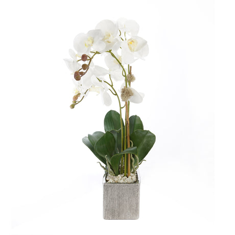Real Touch Cream White Phalenophsis Orchids with Geodes & White Pebbles Flower Arrangement in Silver Rectangle Planter#F-180