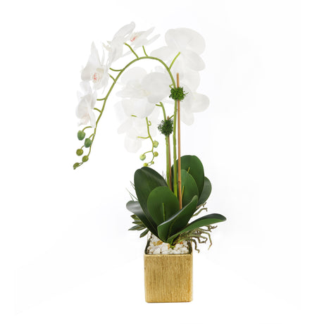 Real Touch White Orchids with Geodes/Succulents/White Pebbles Arrangement #F-182