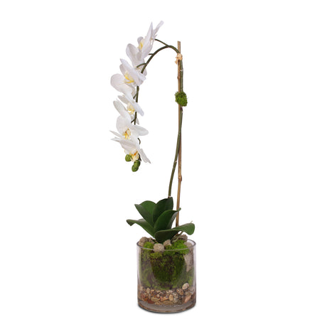 Real Touch White Phalaenopsis Orchid and leaf in a Sleek Glass Vase #F-24