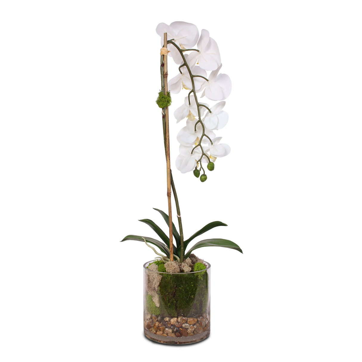 Real Touch White Phalaenopsis Orchid and leaf in a Sleek Glass Vase #F-24