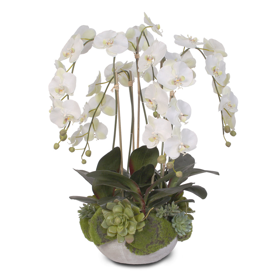 White Orchid Moss Ball – ReclaimedWarehouse