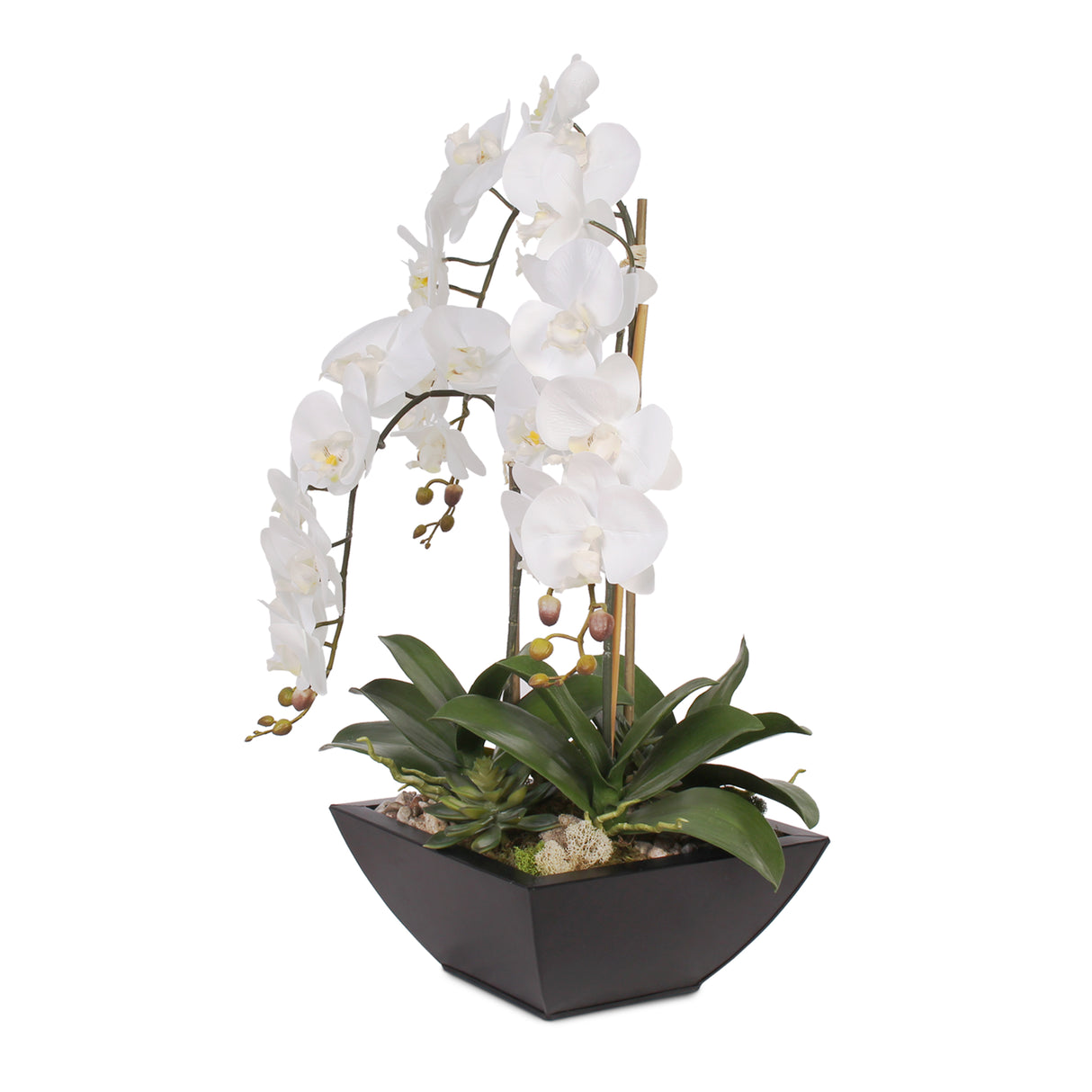 Real Touch White Orchids and Leaves with Succulents in Black Metal Zinc Pot #F-35