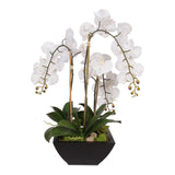 Real Touch White Orchids and Leaves with Succulents in Black Metal Zinc Pot #F-35