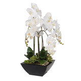 Real Touch White Orchids and Leaves with Succulents in Black Metal Zinc Pot #F-35