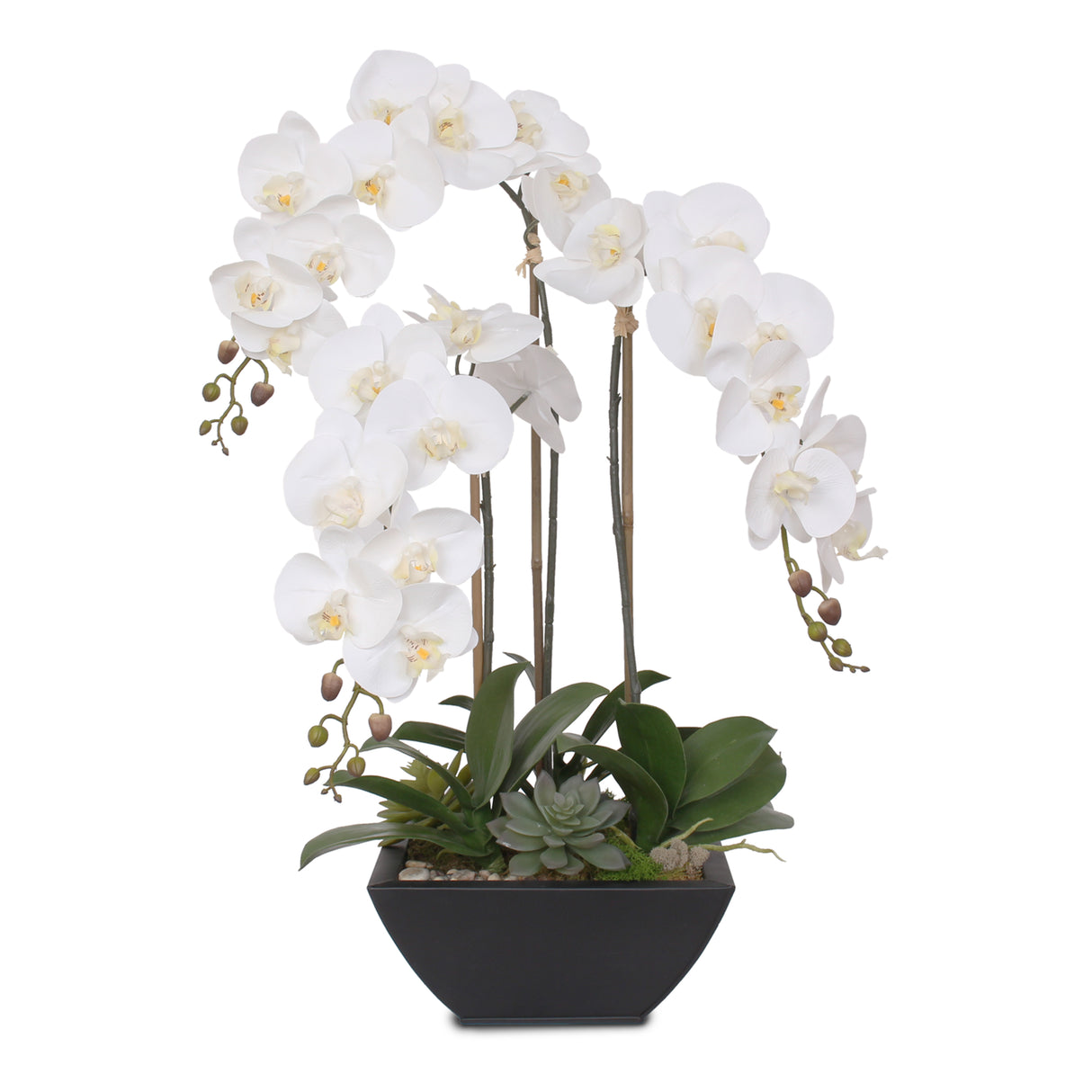 Real Touch White Orchids and Leaves with Succulents in Black Metal Zinc Pot #F-35