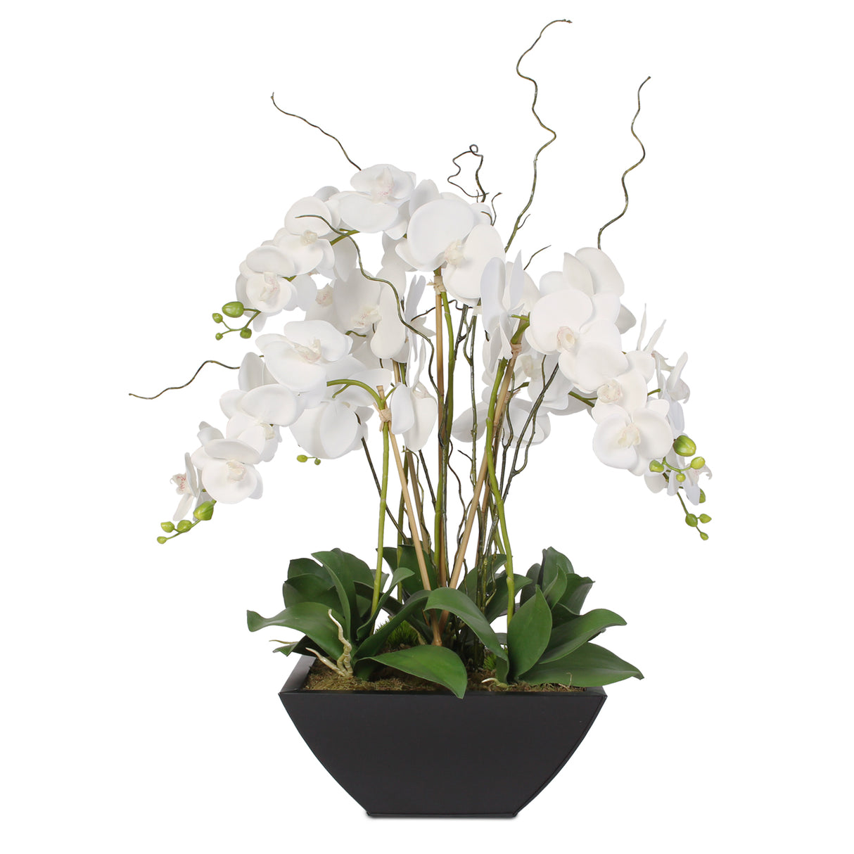 Real Touch Orchids and Leaves in Black Metal Zinc Pot #F-37
