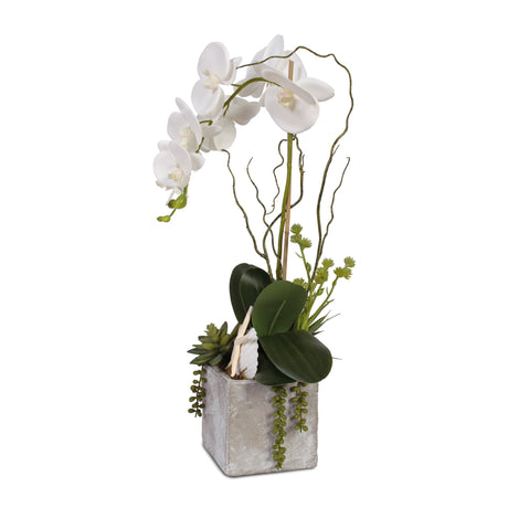 Real Touch White Orchid with Seashell & Succulent in Stone Wash Pot #F-40