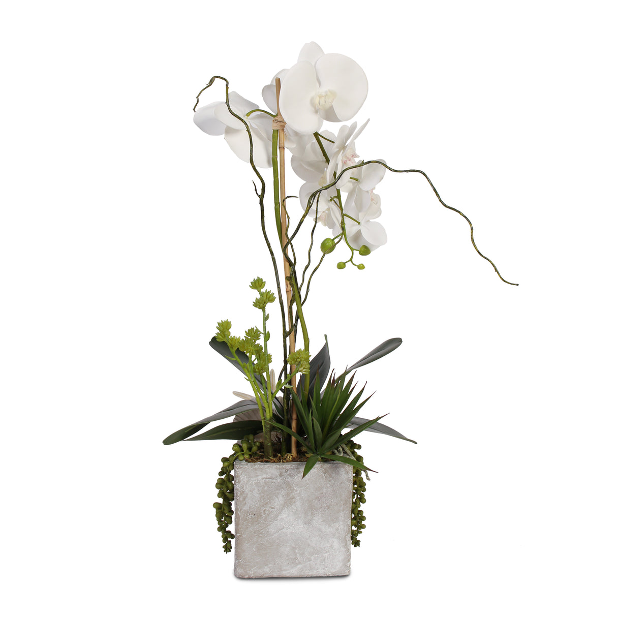 Real Touch White Orchid with Seashell & Succulent in Stone Wash Pot #F-40