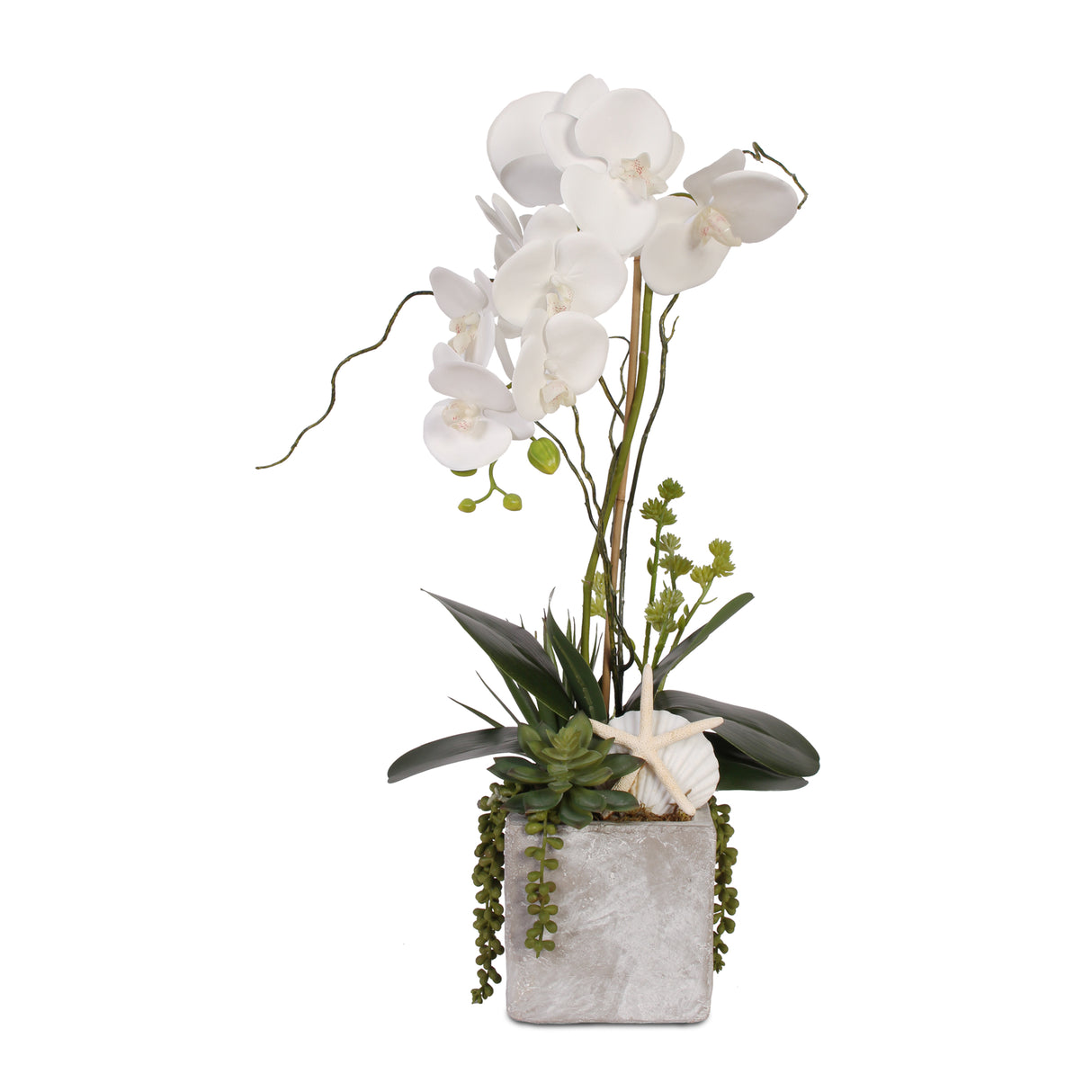 Real Touch White Orchid with Seashell & Succulent in Stone Wash Pot #F-40