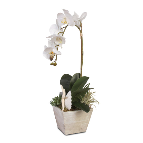 Real Touch Orchid with Seashells Arrangement #F-43