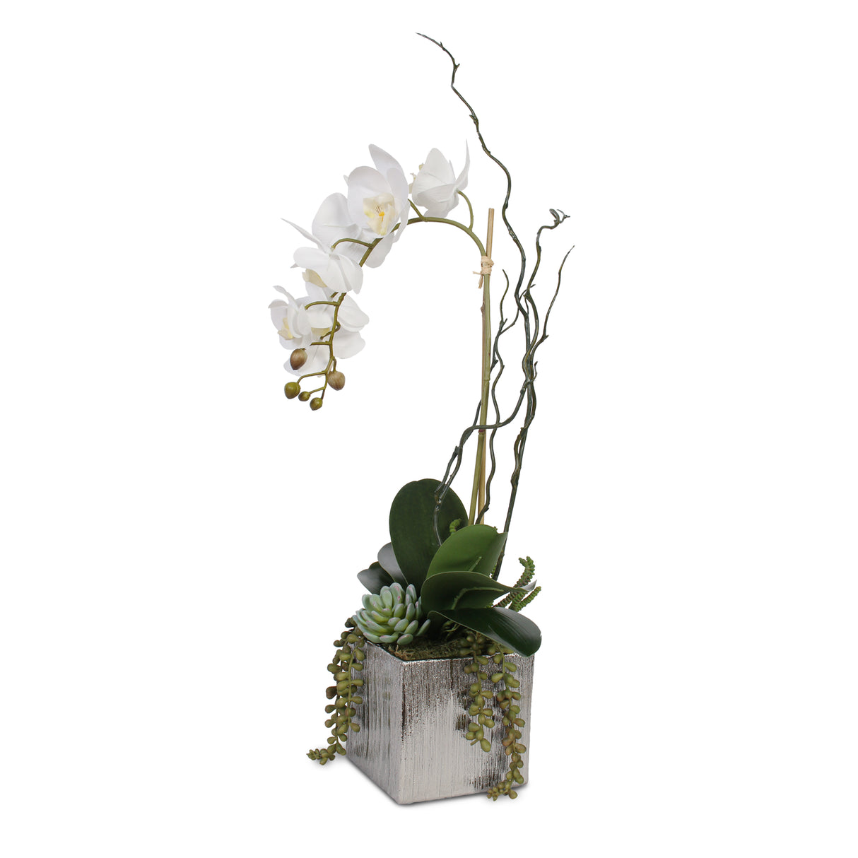 Real Touch White Phalaenopsis Orchid with Succulents in Silver Ceramic Pot #F-44