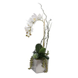 Real Touch White Phalaenopsis Orchid with Succulents in Silver Ceramic Pot #F-44