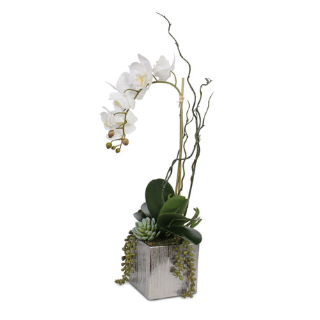 Real Touch White Phalaenopsis Orchid with Succulents in Silver Ceramic Pot #F-44