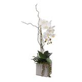 Real Touch White Phalaenopsis Orchid with Succulents in Silver Ceramic Pot #F-44