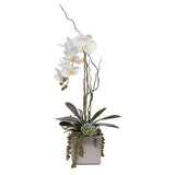 Real Touch White Phalaenopsis Orchid with Succulents in Silver Ceramic Pot #F-44
