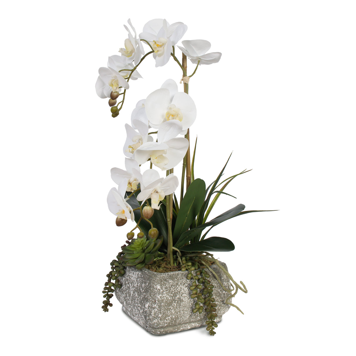 Real Touch Phalaenopsis Orchids with Succulents Artificial Flower Arrangement #F-47