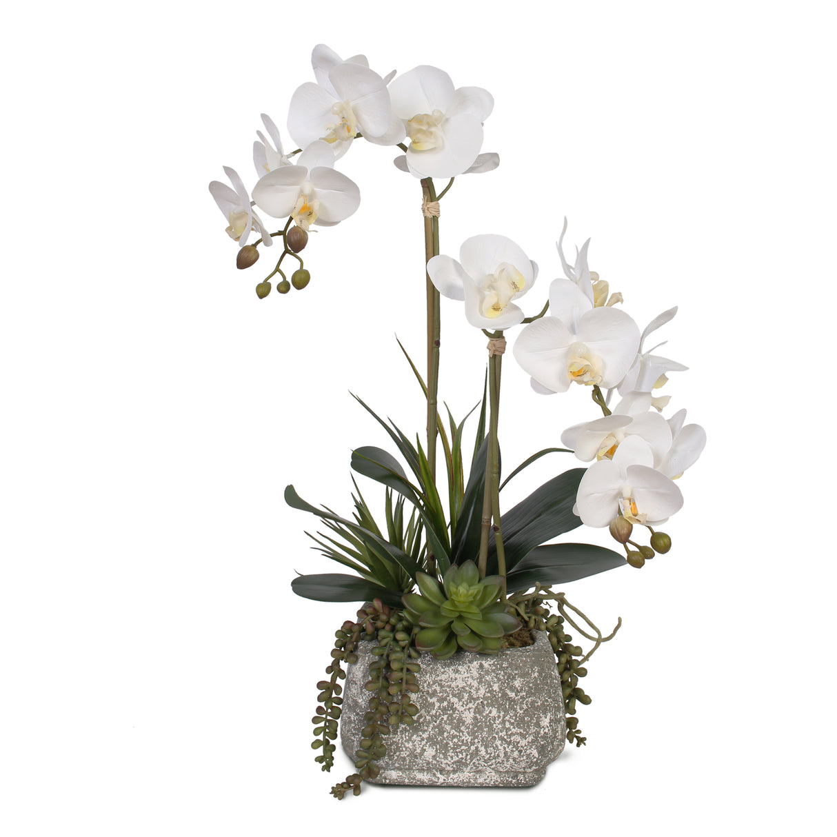 Real Touch Phalaenopsis Orchids with Succulents Artificial Flower Arrangement #F-47