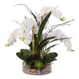 Real Touch White Phalaenopsis Orchid with Succulents and Natural Rocks in a Glass Bowl #F-4W
