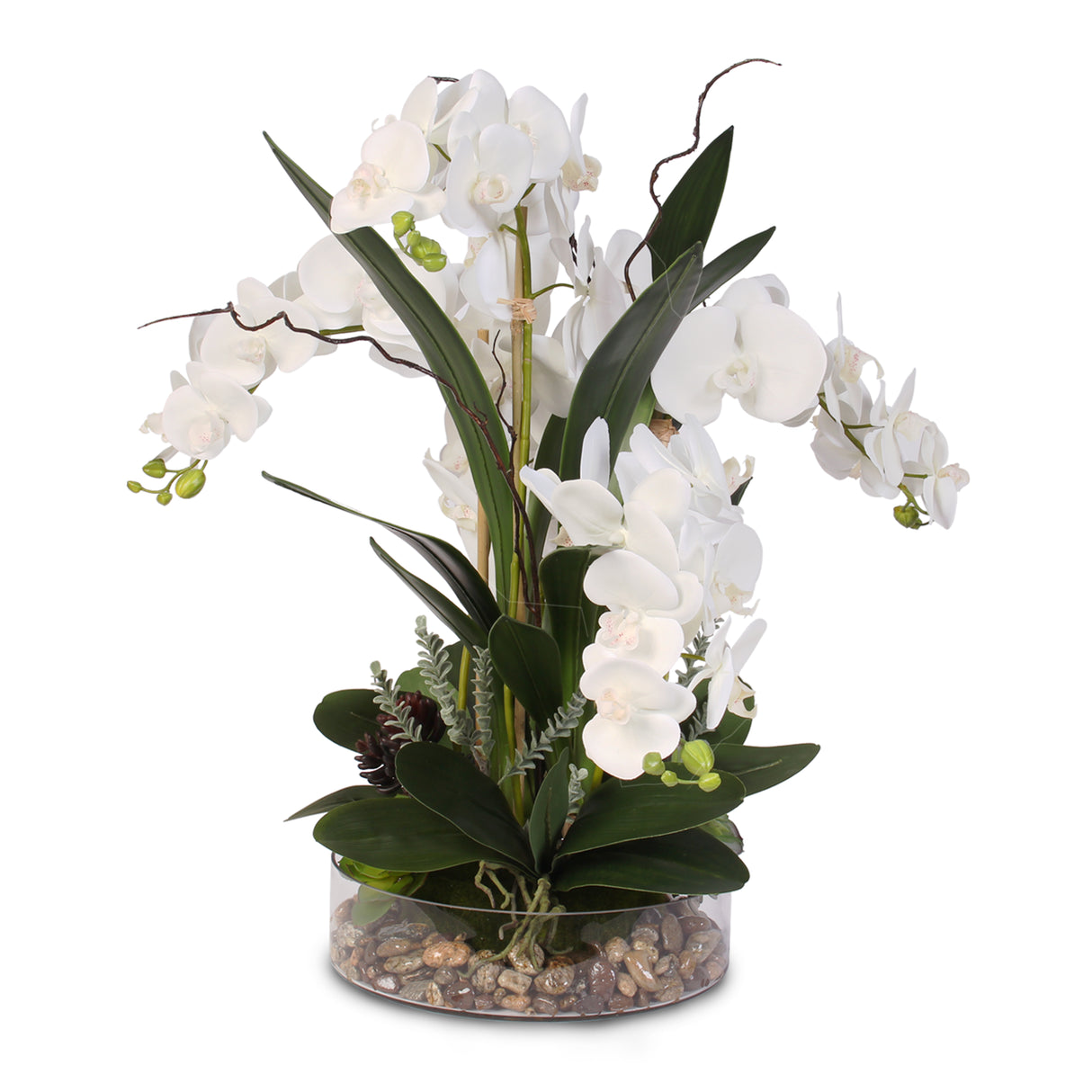 Real Touch White Phalaenopsis Orchid with Succulents and Natural Rocks in a Glass Bowl #F-4W