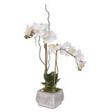 Real Touch White Phalaenopsis Orchids in Stone Wash Pot #F-51