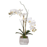 Real Touch White Phalaenopsis Orchids in Stone Wash Pot #F-51