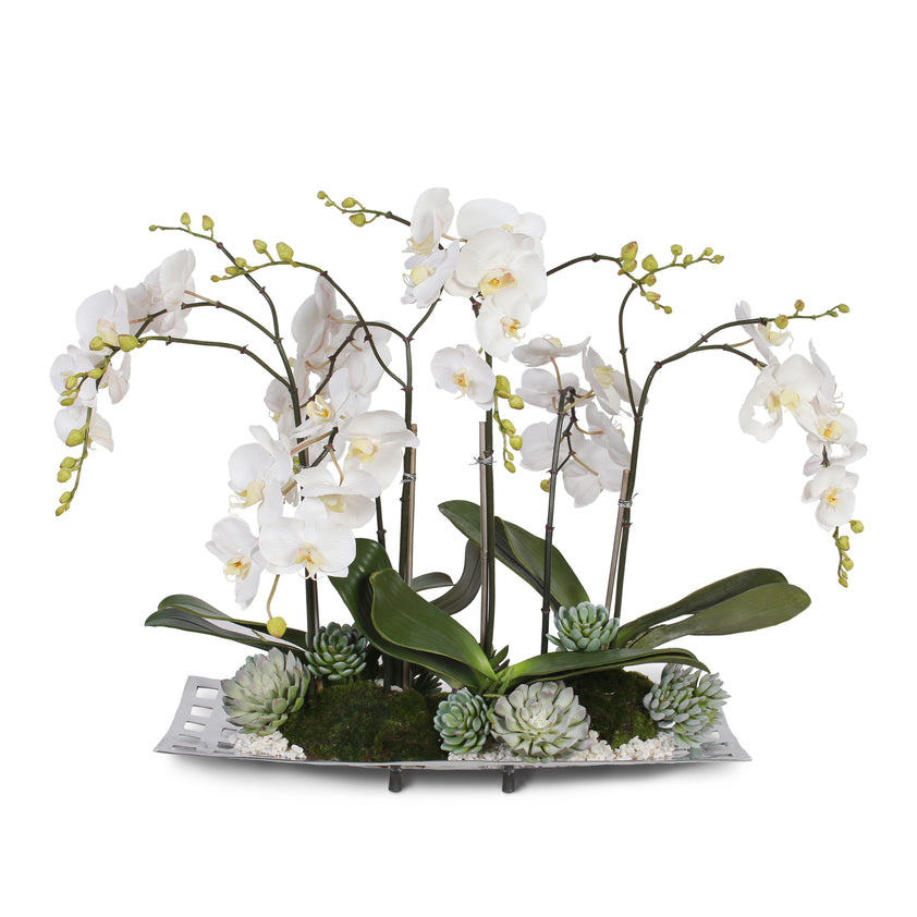 Jenny Silks Real Touch White Phalaenopsis Orchids with Succulents and