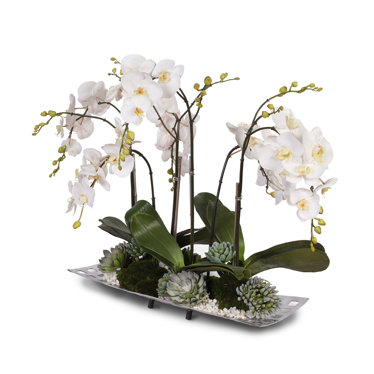 Jenny Silks Real Touch White Phalaenopsis Orchids with Succulents and White Pebbles in Aluminum Tray #F-55