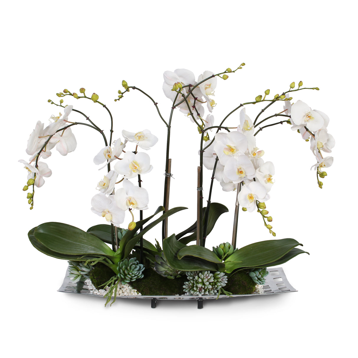Jenny Silks Real Touch White Phalaenopsis Orchids with Succulents and White Pebbles in Aluminum Tray #F-55