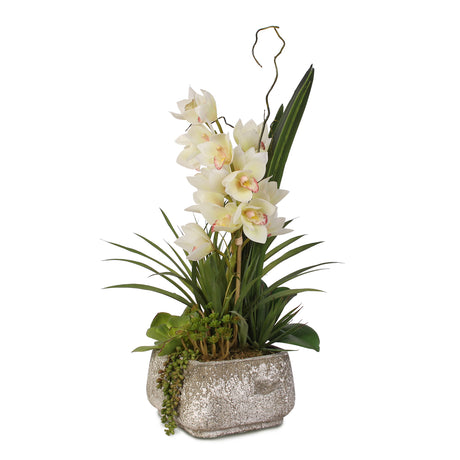 Real Touch White Cymbidium Orchids with Artificial Succulents in Concrete Pot #F-56