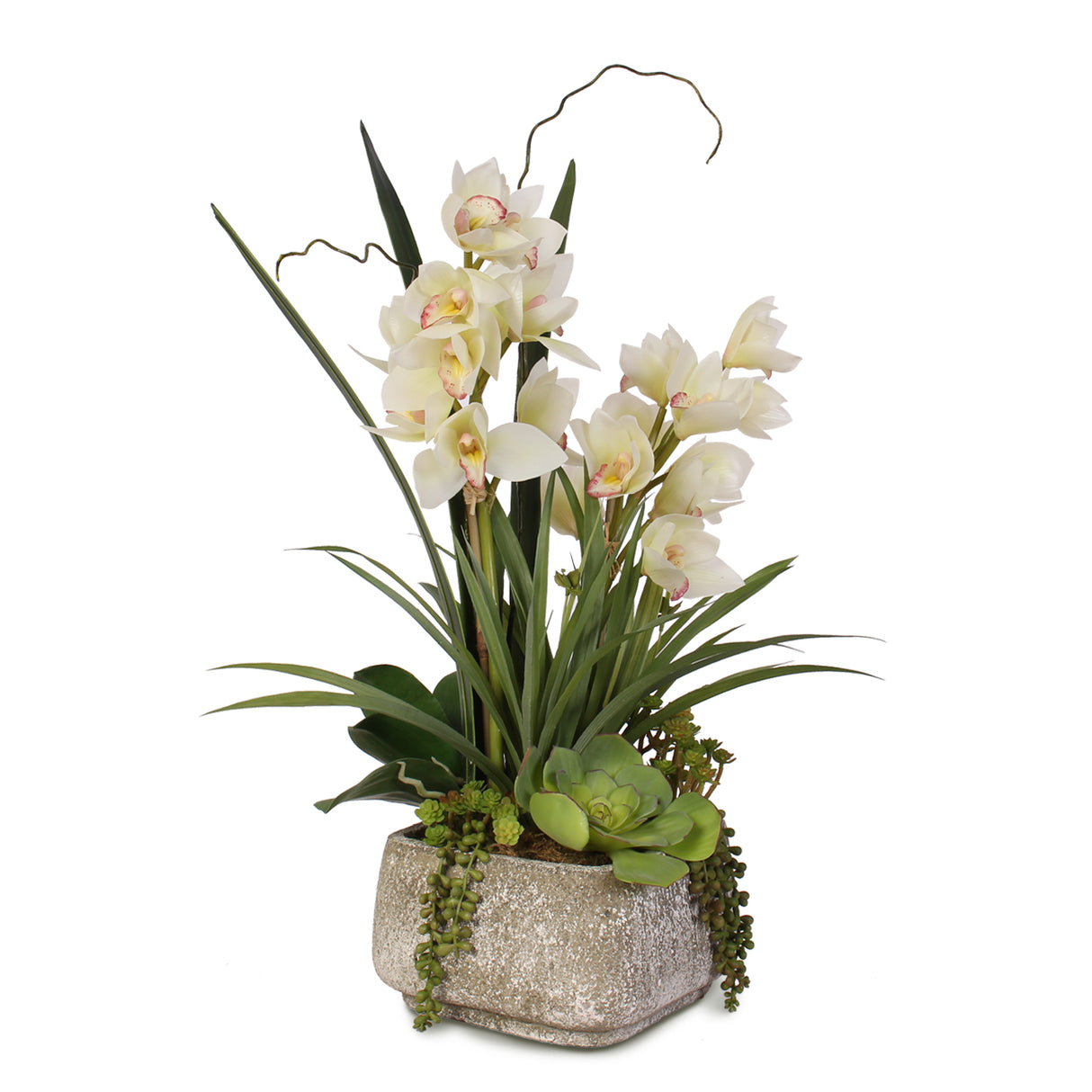 Real Touch White Cymbidium Orchids with Artificial Succulents in Concrete Pot #F-56