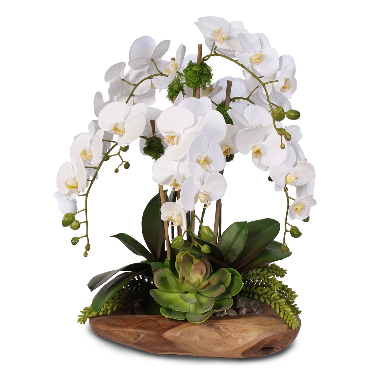 Real Touch 6-Stem Phalaenopsis Orchids with Succulents in Natural Wood Bowl #F-59E