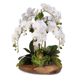 Real Touch 6-Stem Phalaenopsis Orchids with Succulents in Natural Wood Bowl #F-59E