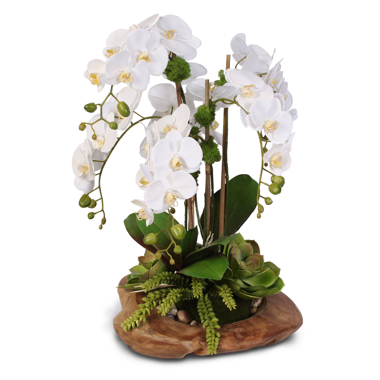 Real Touch 6-Stem Phalaenopsis Orchids with Succulents in Natural Wood Bowl #F-59E