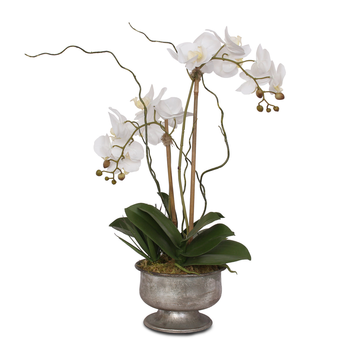 Real Touch White Phalaenopsis Orchid with Succulent in Silver Aged Metal Pot #F-71