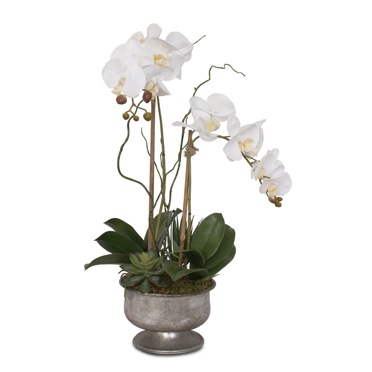 Real Touch White Phalaenopsis Orchid with Succulent in Silver Aged Metal Pot #F-71