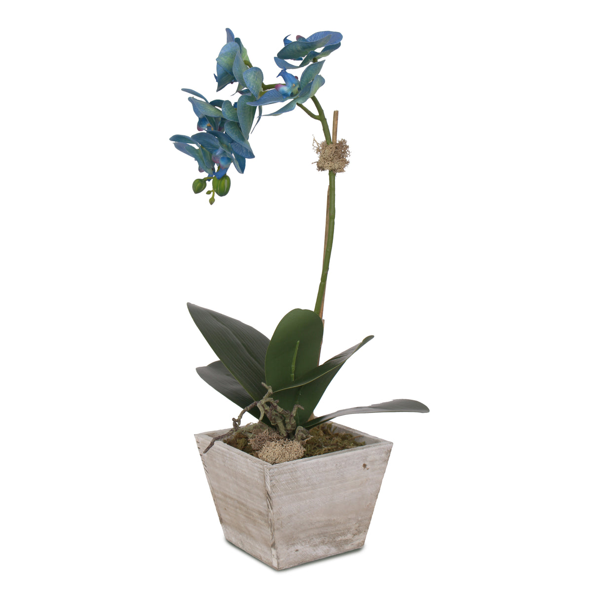 Real Touch Blue Silk Phalaenopsis Orchid in White Wash Wood Planter #F-96