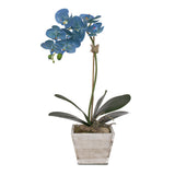 Real Touch Blue Silk Phalaenopsis Orchid in White Wash Wood Planter #F-96