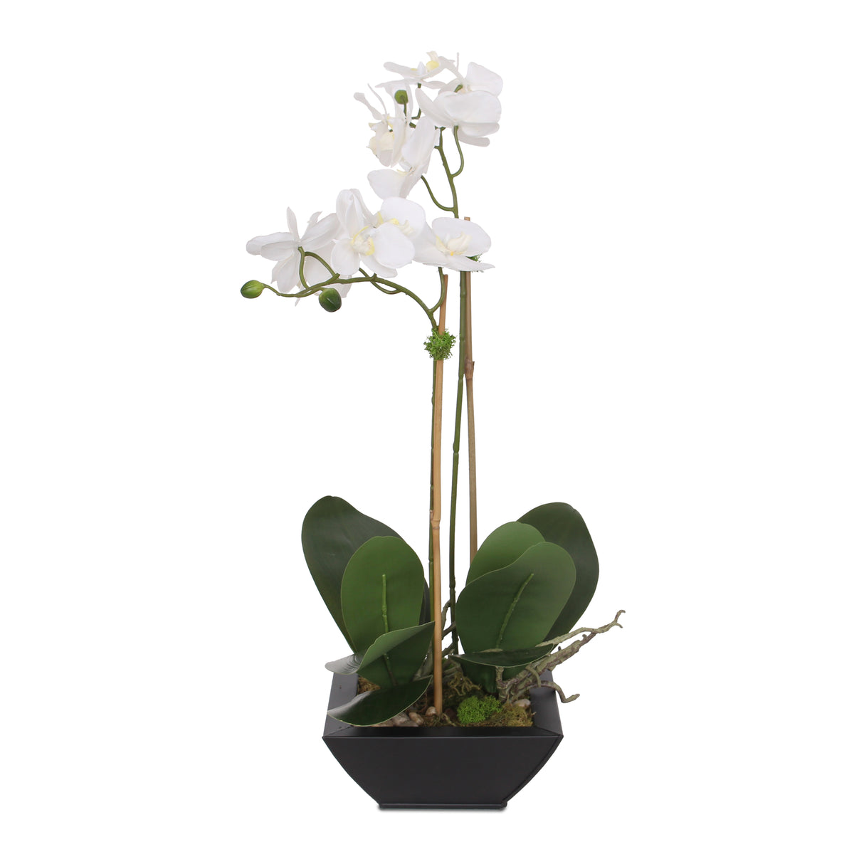 Real Touch White Silk Phalaenopsis Orchids and Leaves with Reindeer Moss in Black Metal Zinc Pot #F-99