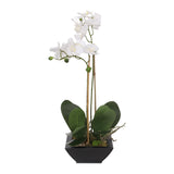 Real Touch White Silk Phalaenopsis Orchids and Leaves with Reindeer Moss in Black Metal Zinc Pot #F-99