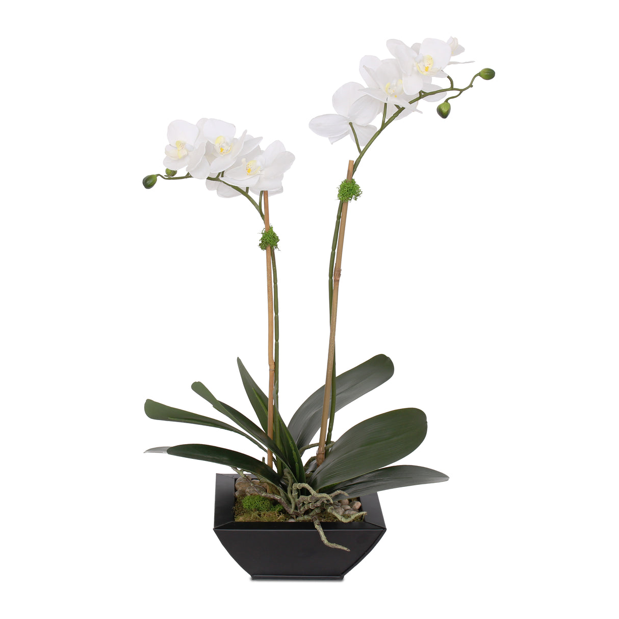 Real Touch White Silk Phalaenopsis Orchids and Leaves with Reindeer Moss in Black Metal Zinc Pot #F-99