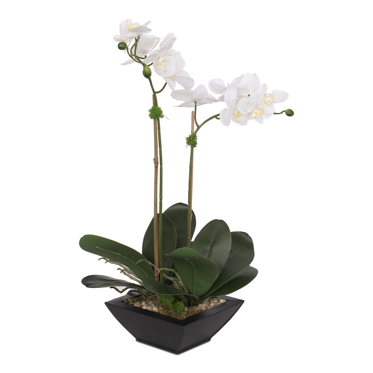 Real Touch White Silk Phalaenopsis Orchids and Leaves with Reindeer Moss in Black Metal Zinc Pot #F-99