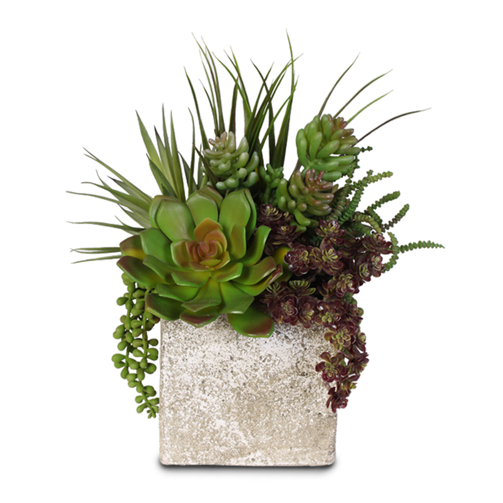 Artificial Succulent Arrangements - Faux Silk Succulents at JennySilks ...