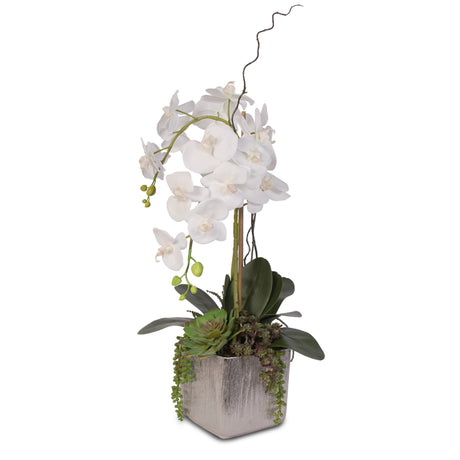 Real Touch White Orchid and Succulent Arrangement #JS05